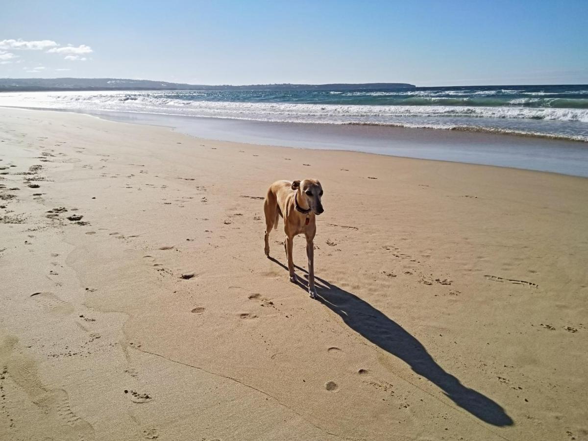 Beachcomber - Pet Friendly Merimbula Eksteriør bilde